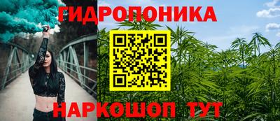 хмурый Дубна