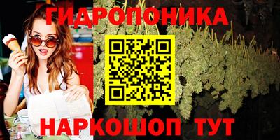 хмурый Дубна
