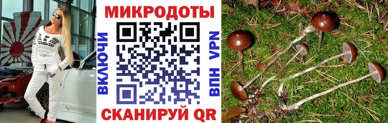 сколько стоит  Арсеньев  Галлюциногенные грибы мухоморы 