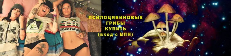 Псилоцибиновые грибы Cubensis  как найти   площадка как зайти  Арсеньев 