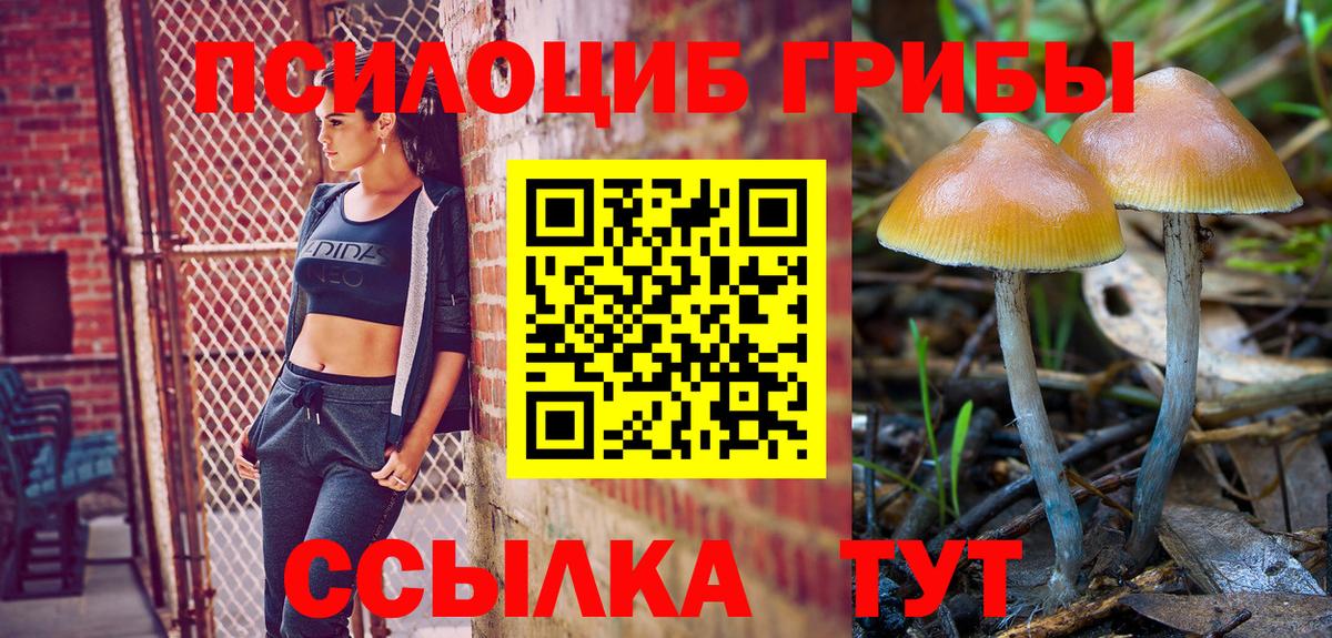 Гашиш Арсеньев