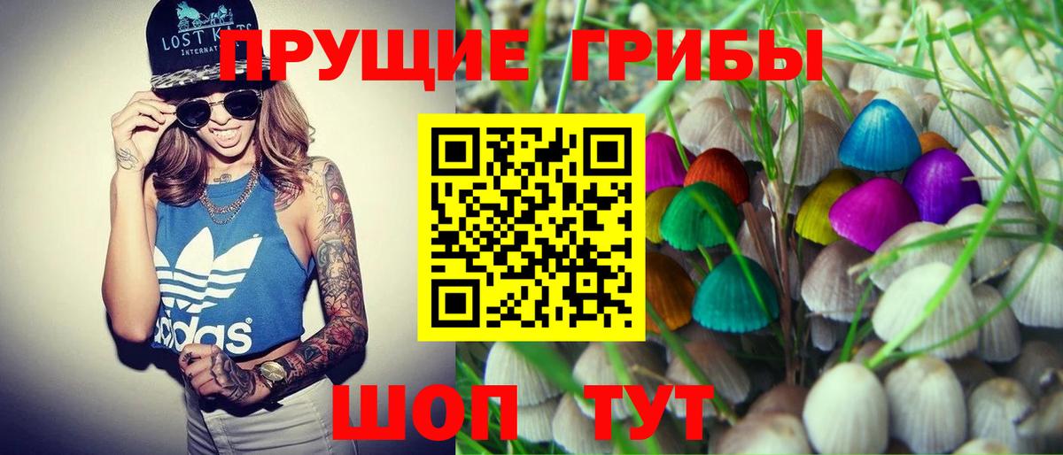 Псилоцибиновые грибы Psilocybe Арсеньев