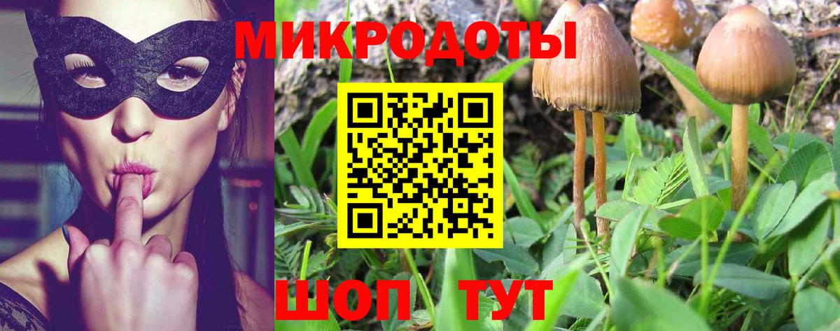 Псилоцибиновые грибы GOLDEN TEACHER  Галлюциногенные грибы MAGIC MUSHROOMS  Вход с VPN  продажа наркотиков  Арсеньев 