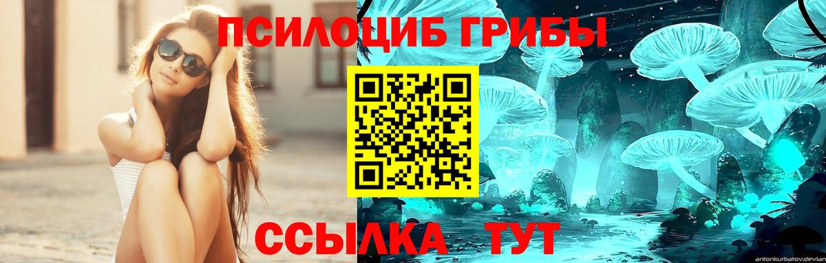 Галлюциногенные грибы GOLDEN TEACHER Арсеньев